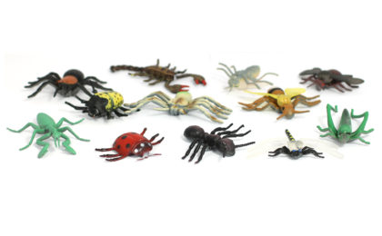 MiniBeasts in Buttercup Room